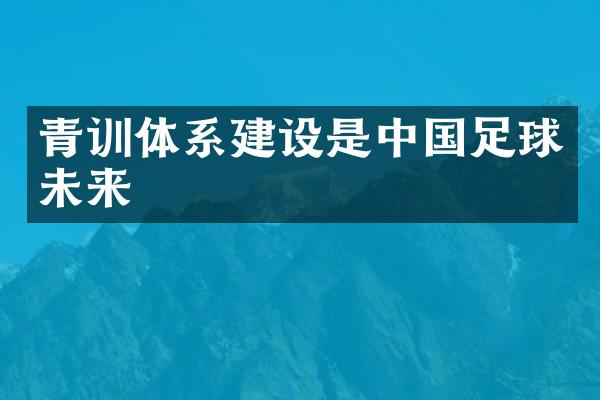 青训体系建设是中国足球未来