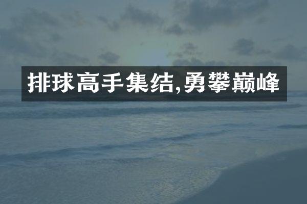 排球高手集结,勇攀巅峰