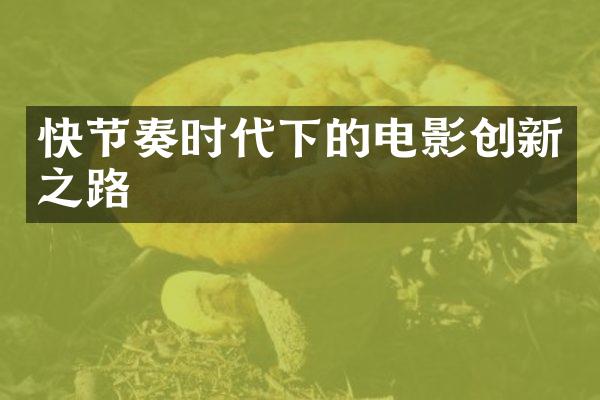 快节奏时代下的电影创新之路