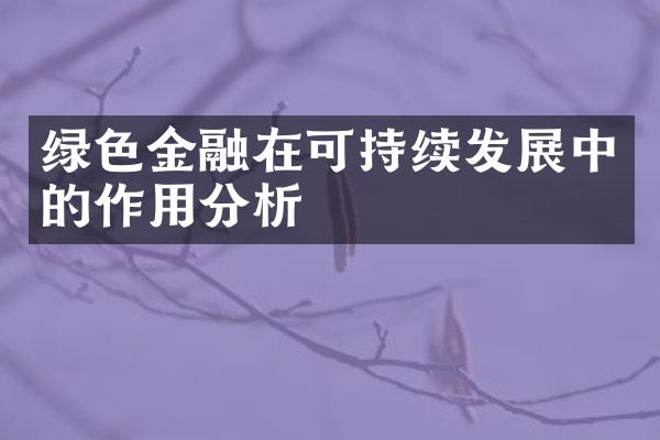 绿色金融在可持续发展中的作用分析