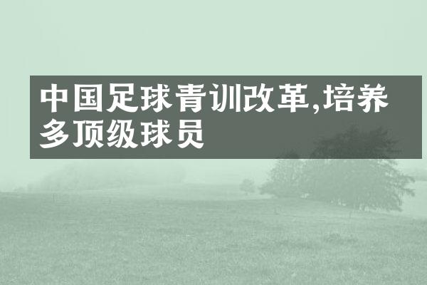 中国足球青训改革,培养更多顶级球员