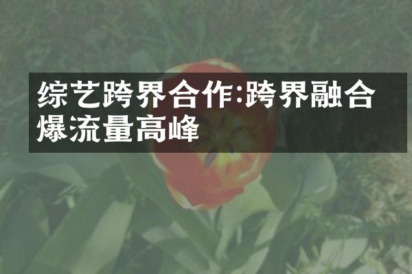 综艺跨界合作:跨界融合引爆流量高峰