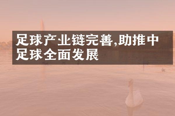 足球产业链完善,助推足球全面发展