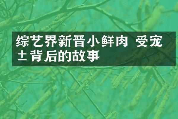 综艺界新晋小鲜肉 受宠爱背后的故事