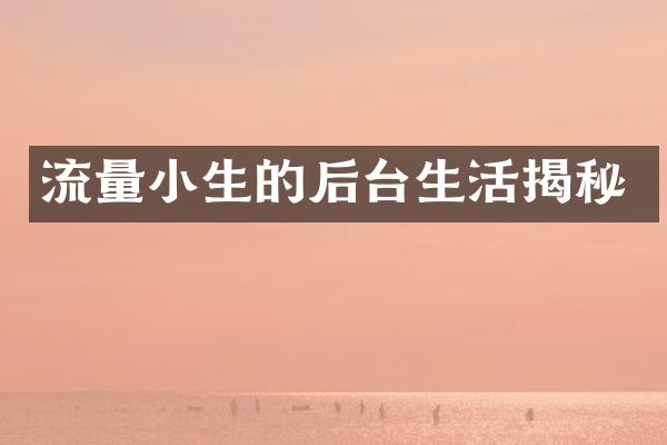 流量小生的后台生活揭秘