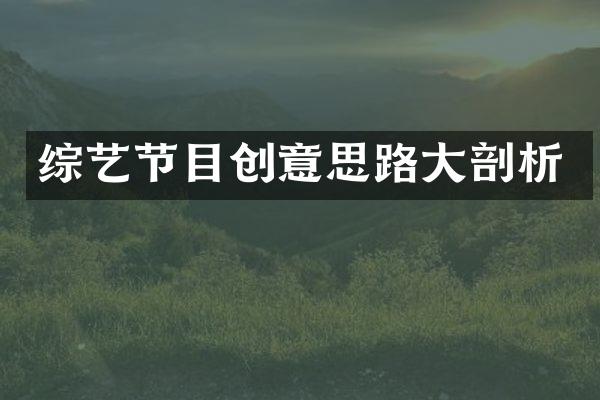 综艺节目创意思路大剖析