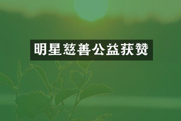 明星慈善公益获赞