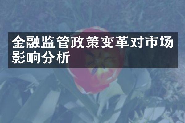 金融监管政策变革对市场影响分析