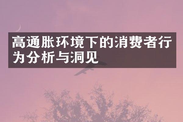 高通胀环境下的消费者行为分析与洞见