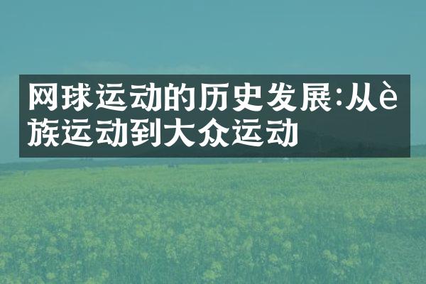 网球运动的历史发展:从贵族运动到大众运动