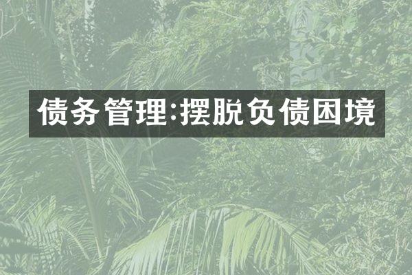 债务管理:摆脱负债困境