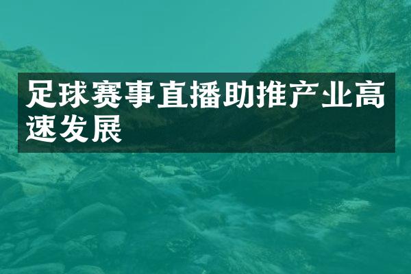 足球赛事直播助推产业高速发展