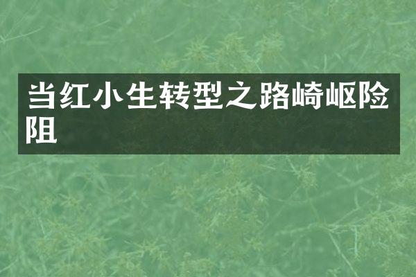 当红小生转型之路崎岖险阻