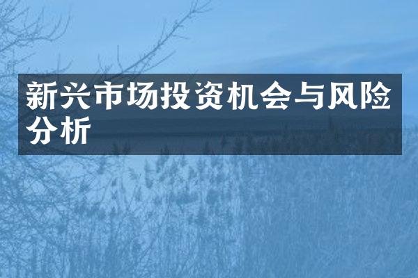 新兴市场投资机会与风险分析