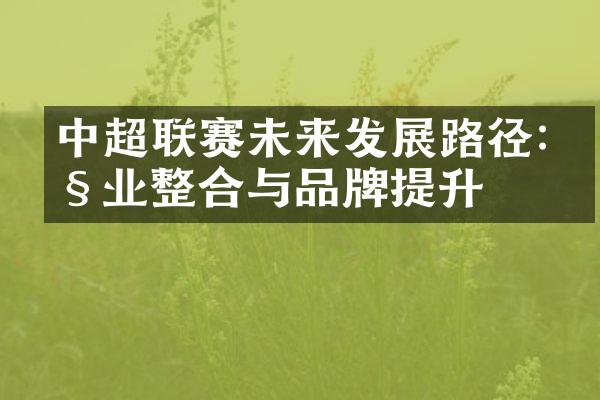 中超联赛未来发展路径:产业整合与品牌提升