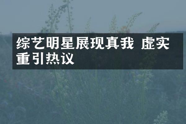 综艺明星展现真我 虚实并重引热议