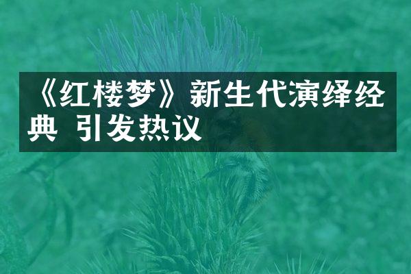 《红楼梦》新生代演绎经典 引发热议