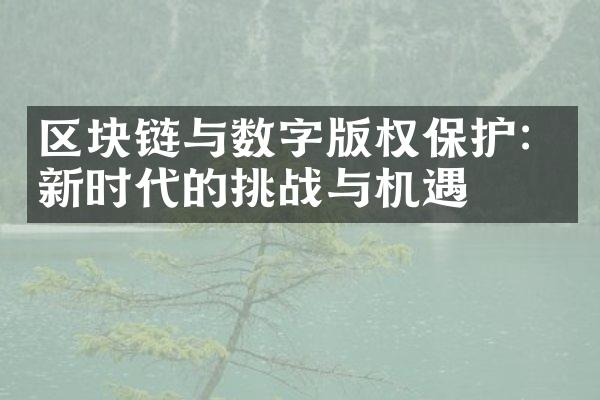 区块链与数字版权保护：新时代的挑战与机遇