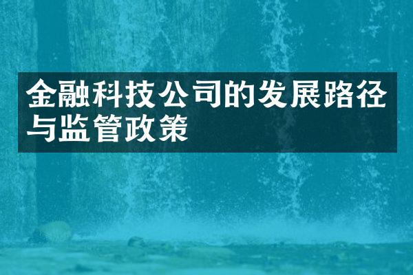 金融科技公司的发展路径与监管政策