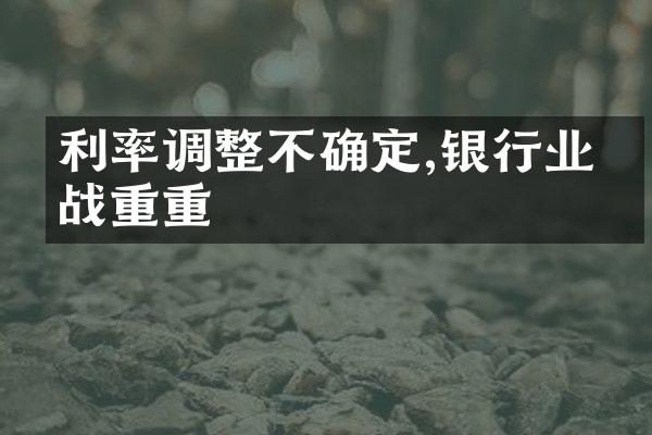 利率调整不确定,银行业挑战重重