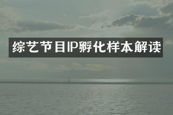 综艺节目IP孵化样本解读