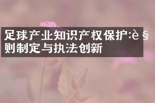 足球产业知识产权保护:规则制定与执法创新