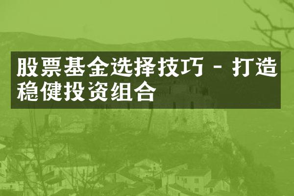 股票基金选择技巧 - 打造稳健投资组合