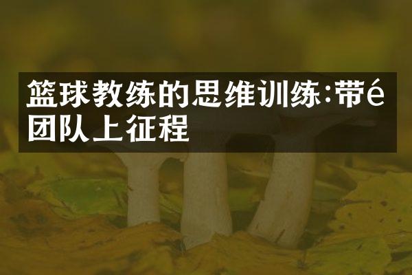 篮球教练的思维训练:带领团队上征程