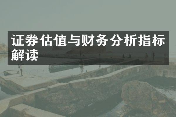 证券估值与财务分析指标解读