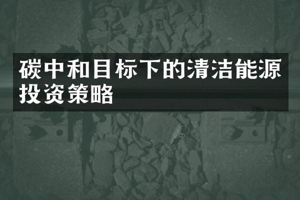 碳中和目标下的清洁能源投资策略