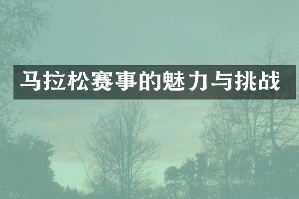 马拉松赛事的魅力与挑战