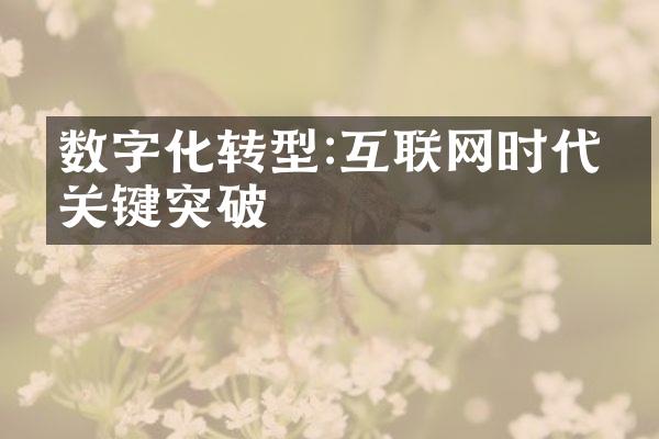 数字化转型:互联网时代的关键突破