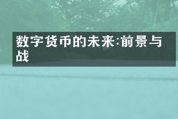 数字货币的未来:前景与挑战