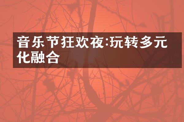 音乐节狂欢夜:玩转多元文化融合