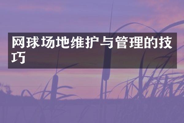 网球场地维护与管理的技巧