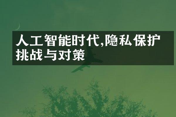 人工智能时代,隐私保护的挑战与对策