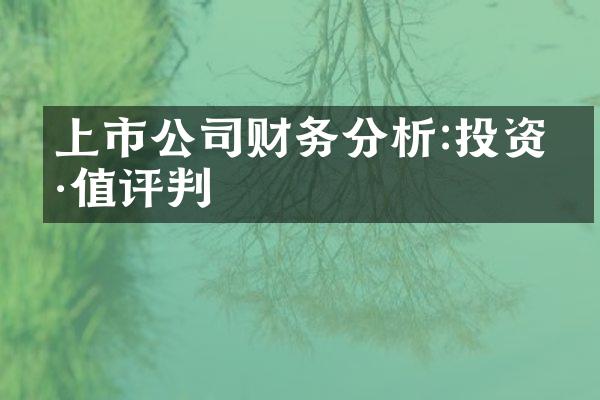 上市公司财务分析:投资价值评判