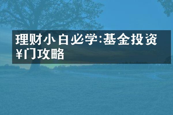 理财小白必学:基金投资入门攻略