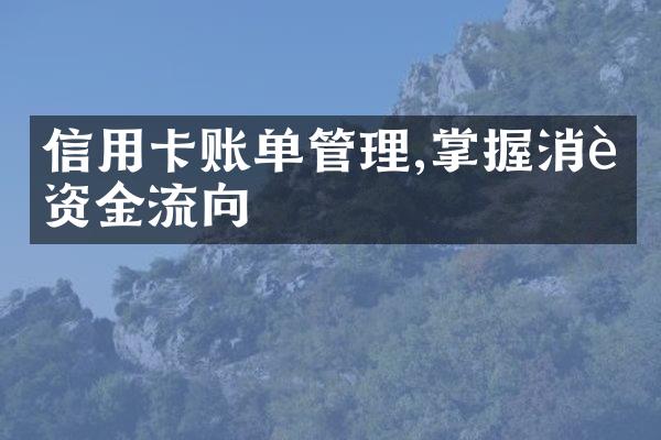 信用卡账单管理,掌握消费资金流向