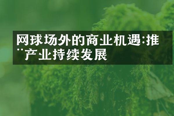 网球场外的商业机遇:推动产业持续发展