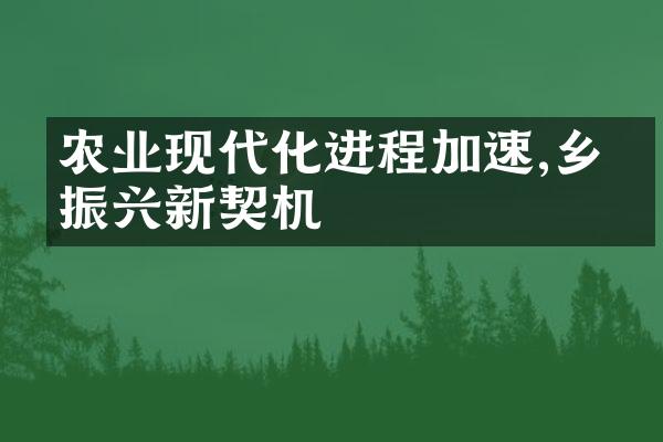 农业现代化进程加速,乡村振兴新契机