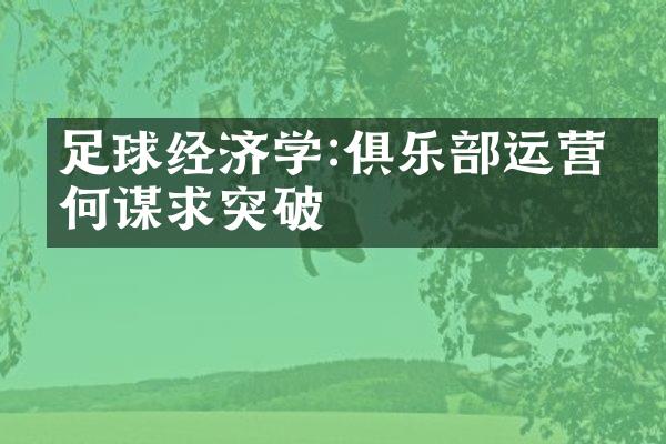 足球经济学:俱乐运营如何谋求突破