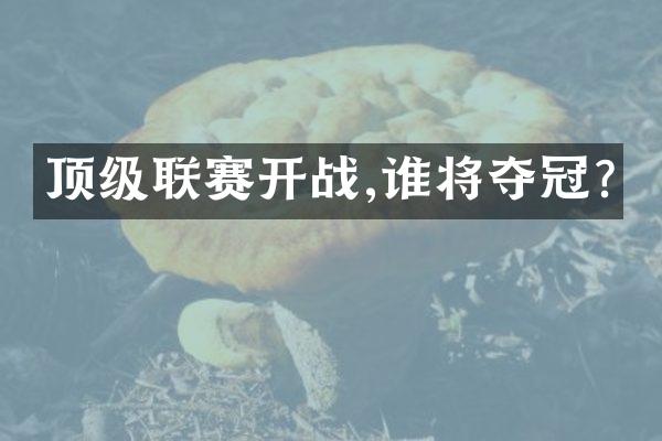 顶级联赛开战,谁将夺冠?