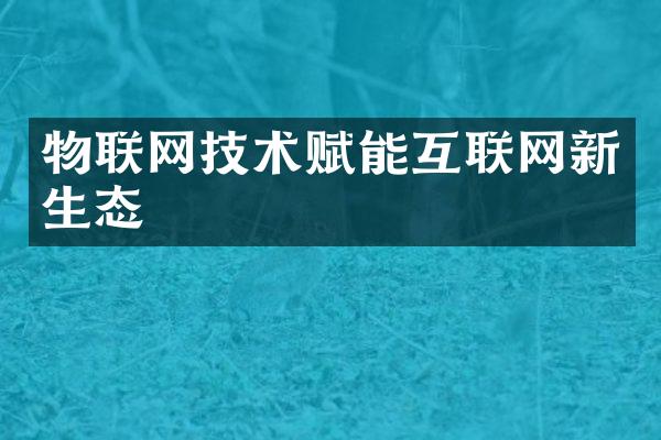 物联网技术赋能互联网新生态