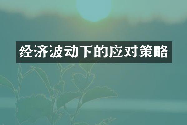 经济波动下的应对策略