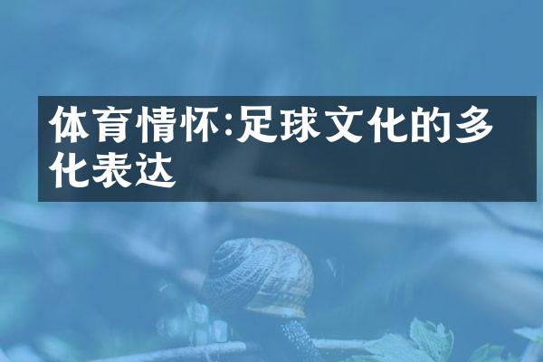 体育情怀:足球文化的多元化表达