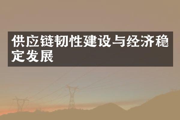 供应链韧性建设与经济稳定发展