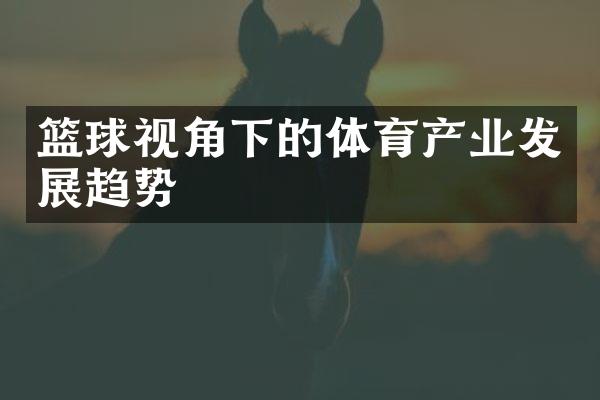 篮球视角下的体育产业发展趋势