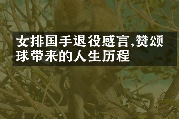 女排国手退役感言,赞颂排球带来的人生历程