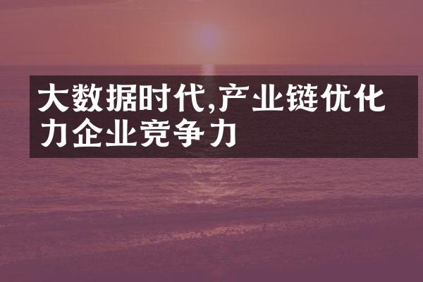 大数据时代,产业链优化助力企业竞争力